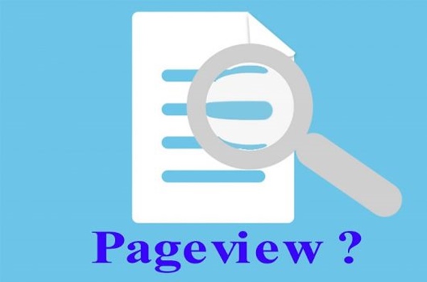 Pageview được phân làm 2 loại