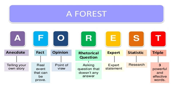 Công thức viết content A FOREST