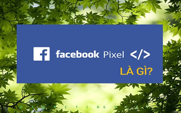 Pixel Facebook - Bí kiếp có Data chạy quảng cáo ngon - bổ - rẻ