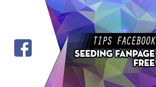 Hướng dẫn cách Seeding chính xác và hiệu quả