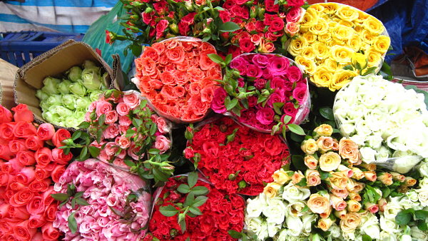 Chợ hoa Gò Vấp - TPHCM