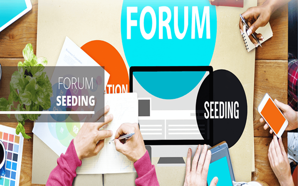 Forum Seeding là gì 