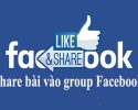 Share bài vào Group Facebook