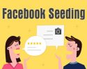 Seeding Facebook là gì