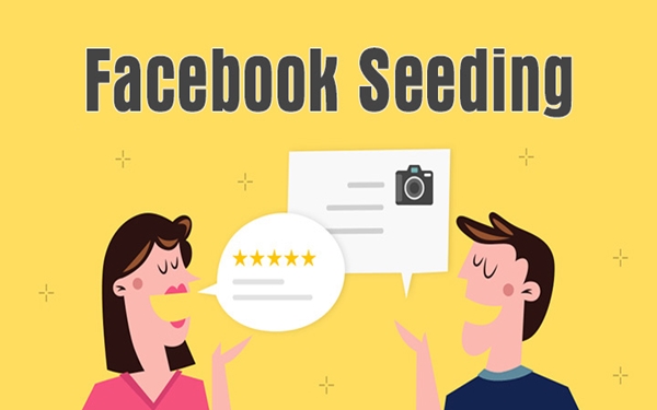 Seeding Facebook là gì