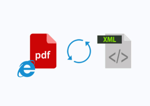 in hóa đơn điện tử với pdf và xml