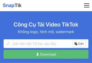 Công cụ lưu Tiktok SnapTik
