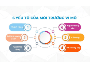 Môi trường vi mô