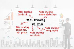 Môi trường vĩ mô trong doanh nghiệp