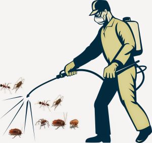 kinh doanh diệt côn trùng